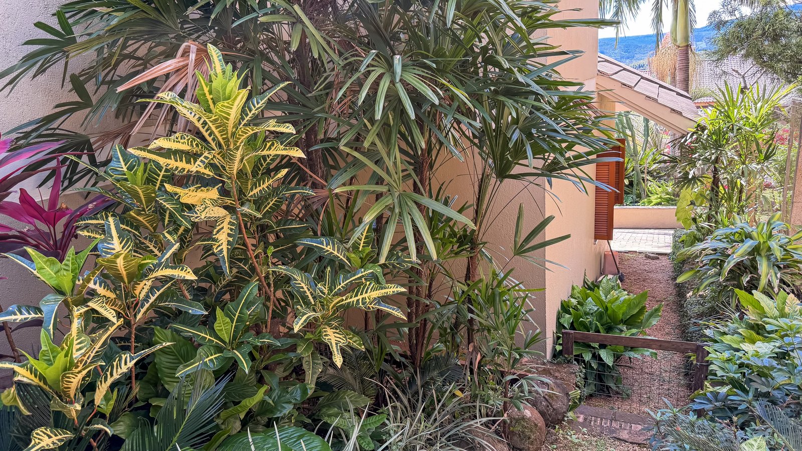 Casa com 3 dormitórios e amplo terreno no bairro Jardim do Alto, em Ivoti/RS — Pátio (fundos)